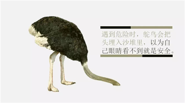這6個(gè)詞，你誤解了任何一個(gè)，都能讓你錯(cuò)過“風(fēng)口”