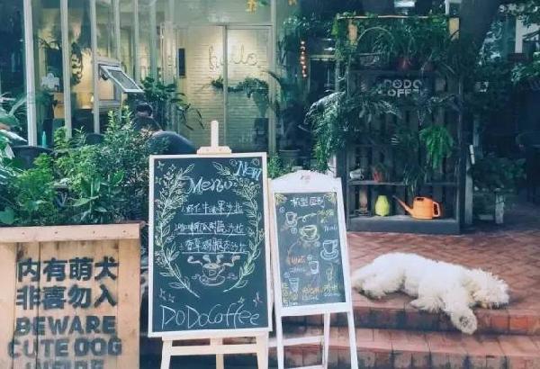 如何開家能賺錢的咖啡館？過來人是這樣算帳的...|餐飲界