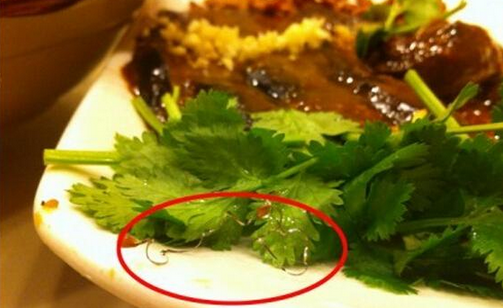 食客在餐廳吃到鋼絲，餐廳被判賠償食客206萬，并罰款686萬