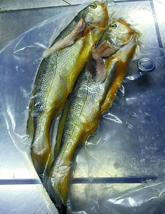 兩條小黃魚賣4628元：沒有菜牌，也沒有價格公示