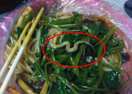 震驚！廣西大學(xué)一螺螄粉店竟然吃出一條蛇！真相是？