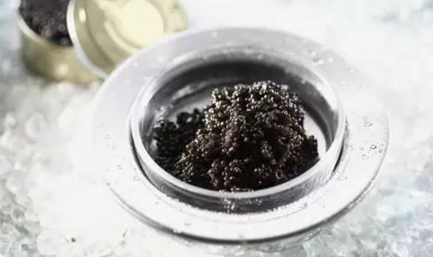 魚子醬到底有多少種？餐飲人快來辨別一下