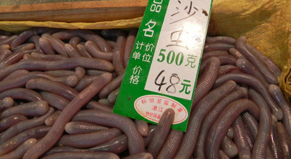 ?？谝徊蛷d沙蟲被食客質(zhì)疑不干凈 食藥監(jiān)：沒毛病