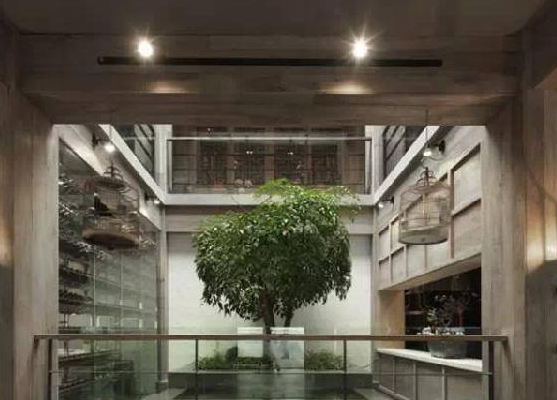 餐廳運(yùn)用上這些植物裝飾，格調(diào)空間立馬不同