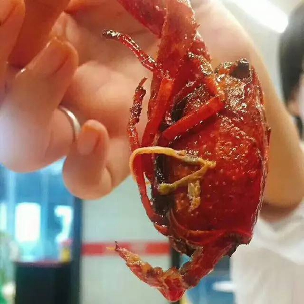 帝都當紅小龍蝦測評：誰家的“麻小”在說謊？|餐飲界