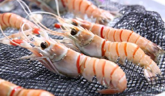 進口食品需求每年遞增15%，餐飲人卻還是找不到渠道？
