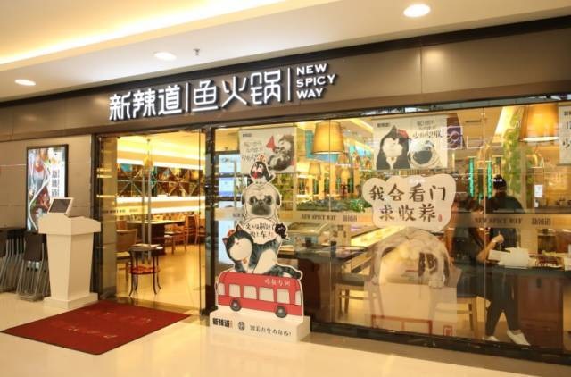 破局傳統(tǒng)營銷思維，看新辣道如何跨界&借勢瘋狂圈粉？ | 案例
