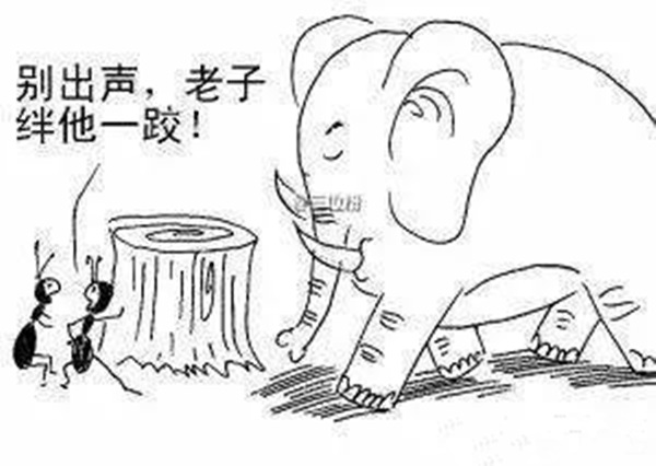 火鍋老板必看：與巴奴共舞的3個戰(zhàn)略機會！