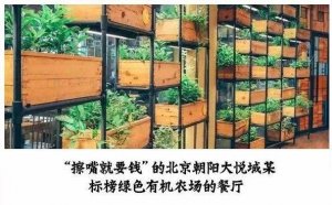 但凡說紙巾要2元的餐廳，我不會去第二次！|餐飲界