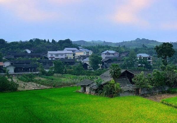 城市水太深，回鄉(xiāng)開餐廳？看完這篇你再做決定……