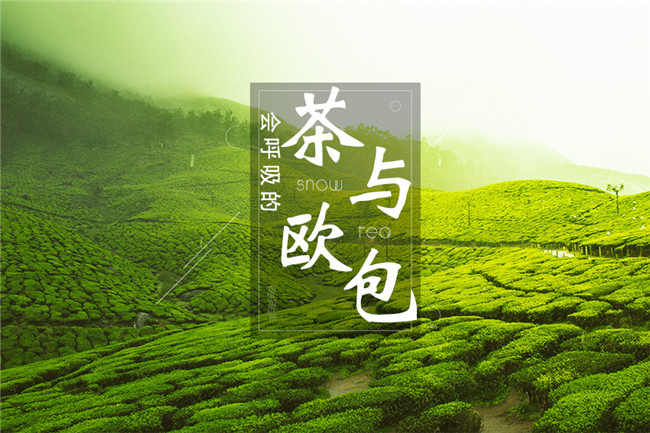 9個(gè)月開600家店，漫雪的茶憑啥攻占全國市場？|餐飲界