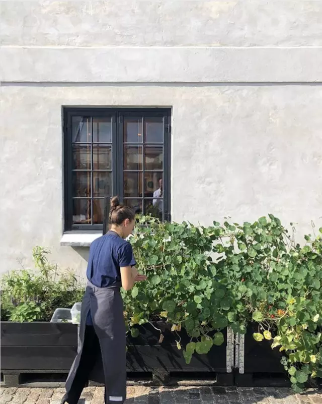 全球最佳餐廳Noma開放明年預訂，內(nèi)容是上半年的海鮮季