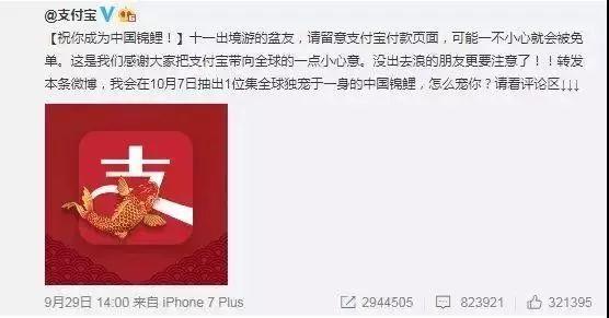 “錦鯉”火了，為什么我不建議跟風蹭這個大熱點？