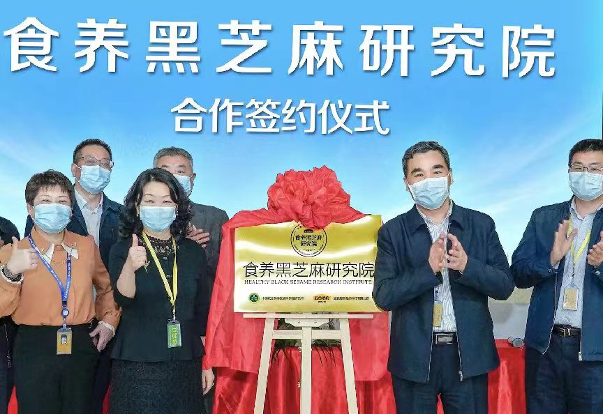 五谷磨房：培育“黑之養(yǎng)1號(hào)”  力爭打造農(nóng)民增收幸福田