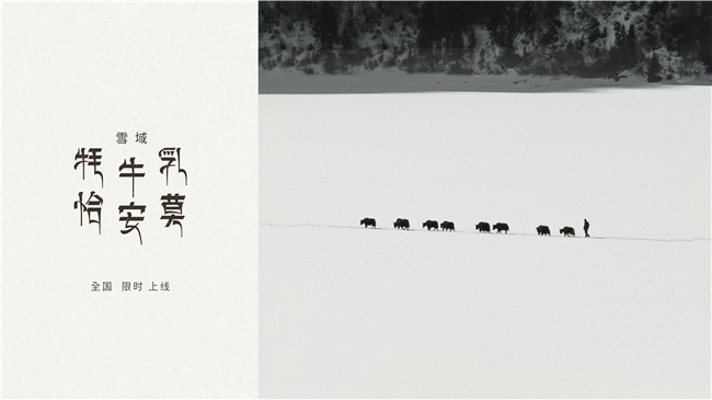 源自3500米高原牧場(chǎng)，喜茶西藏限定「雪域·牦牛乳恰安莫」限時(shí)全國(guó)上新